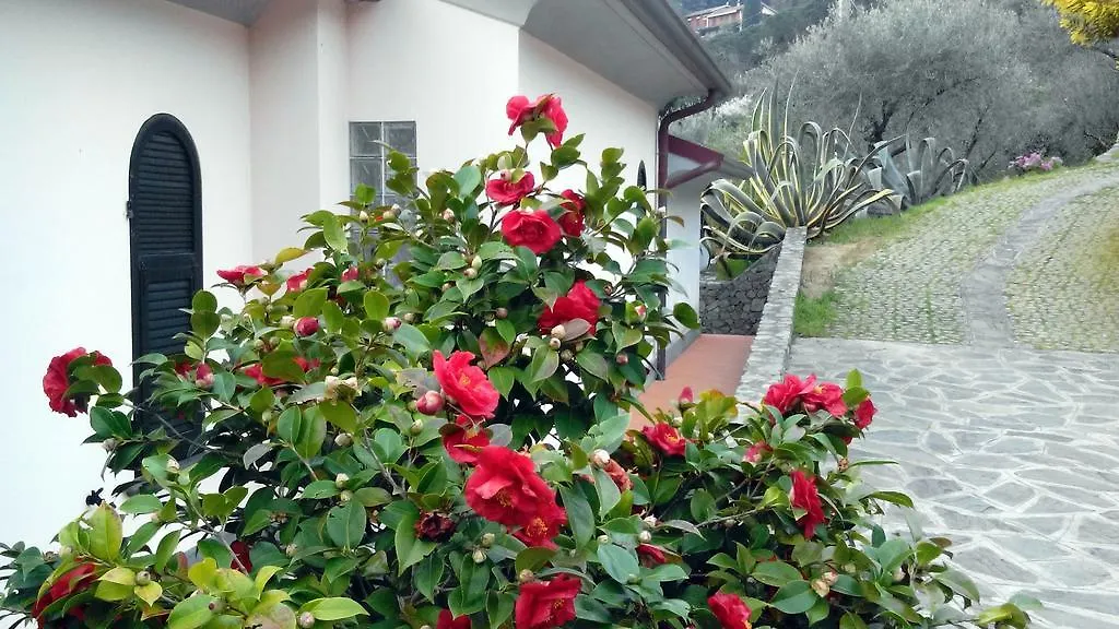 Villa Il Pettirosso Специя Италия